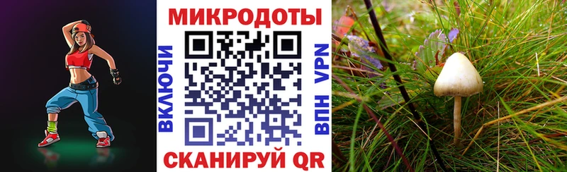 Галлюциногенные грибы Magic Shrooms  сайты даркнета формула  Борисоглебск 